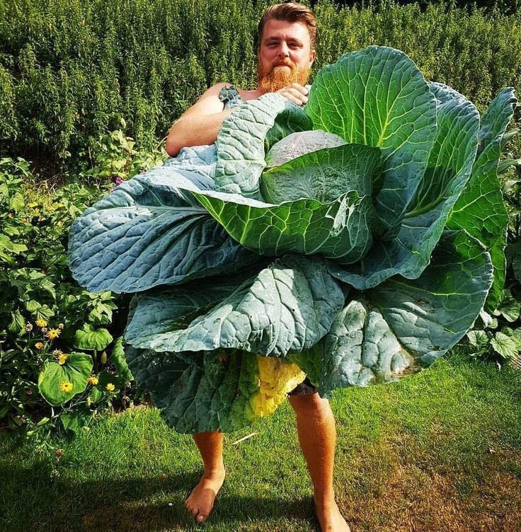 🔥Limited Time-🤩Giant Fruits and Vegetables