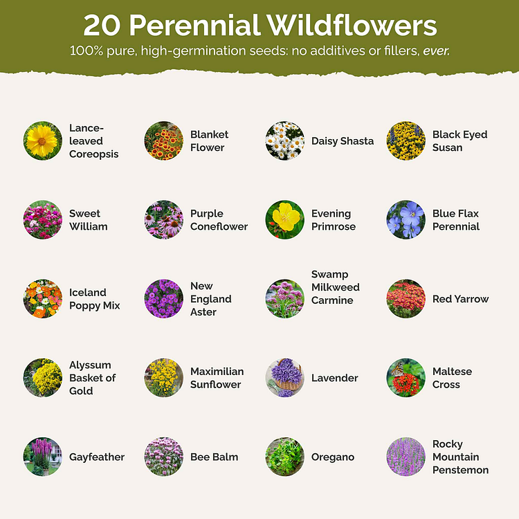 Perennial Pollinator Wildflower Mix