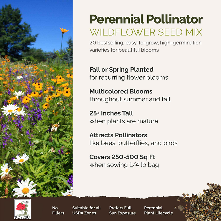 Perennial Pollinator Wildflower Mix