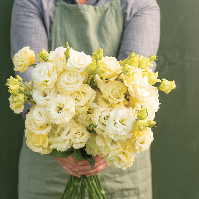 Lisianthus Seeds – Bring Color and Elegance to Your Garden! 🌷