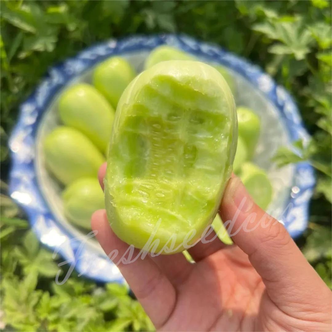 🥒Jade Lady Cucumber Seeds😍Vibrant, smooth, high-yield, and disease-resistant🌱Effortlessly grow delicious cucumbers