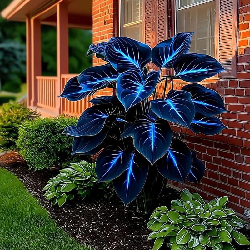 🌿 Rainbow Rare Hosta Flower Seeds🎁2025 Special Offer