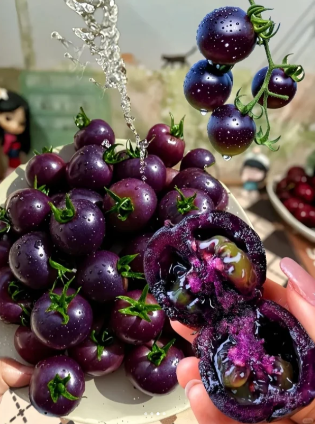 Black Beauty Tomato Seeds