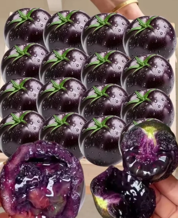 Black Beauty Tomato Seeds
