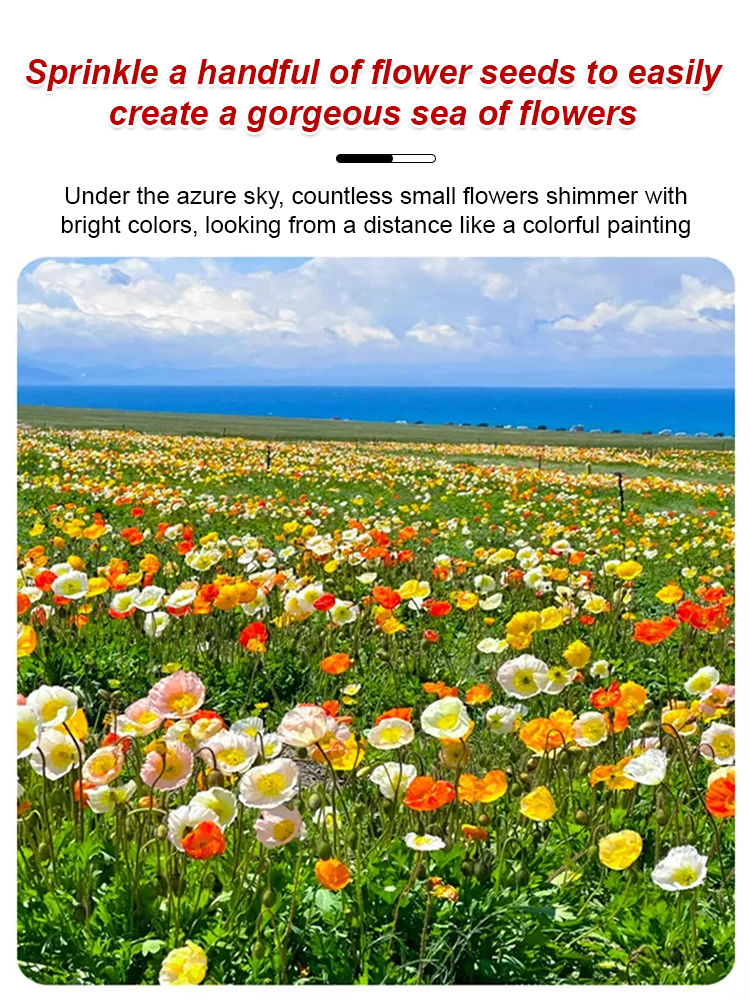 🌸🌼Plant these colorful seeds and a sea of ​​colorful flowers will bloom in April💐