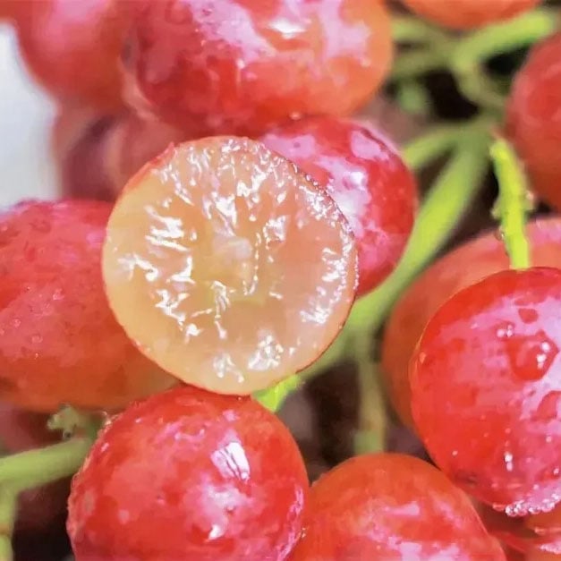 🔥Last Day 48% OFF- High-Quaility Grapes Seeds- High Germination Rate