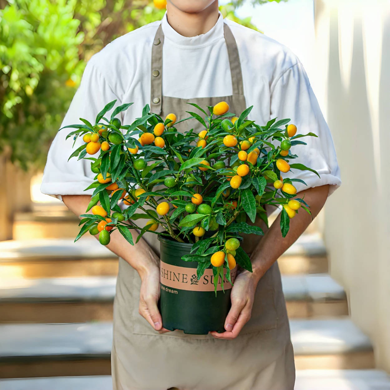 🍊 Crispy Kumquat Seeds: Small fruit, big charm! 🍊