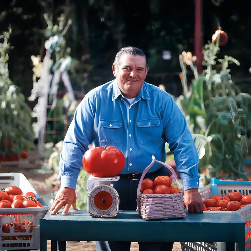 🍅 Giant Monster Tomato Seed – The Amazing Giant Tomato