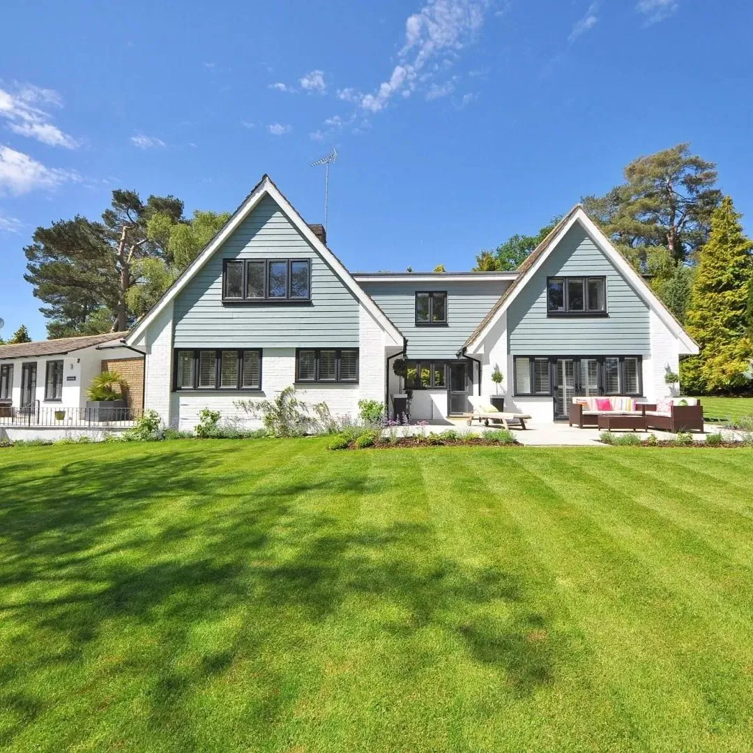 🌿🌟 Four Seasons Evergreen Dwarf Grass Seeds – Your Lawn’s New Best Friend