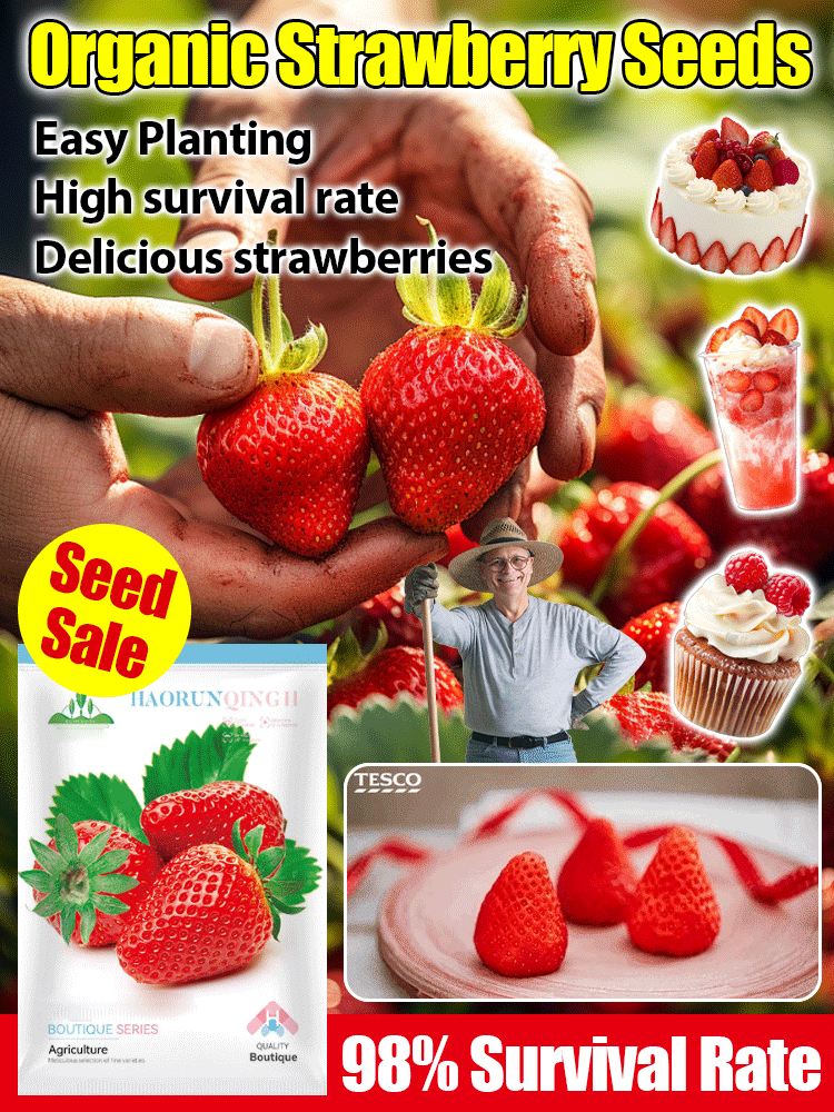 🤩Four Seasons Fruit Cream Strawberry Seeds【😋28 days to blossom and fruits🍓】