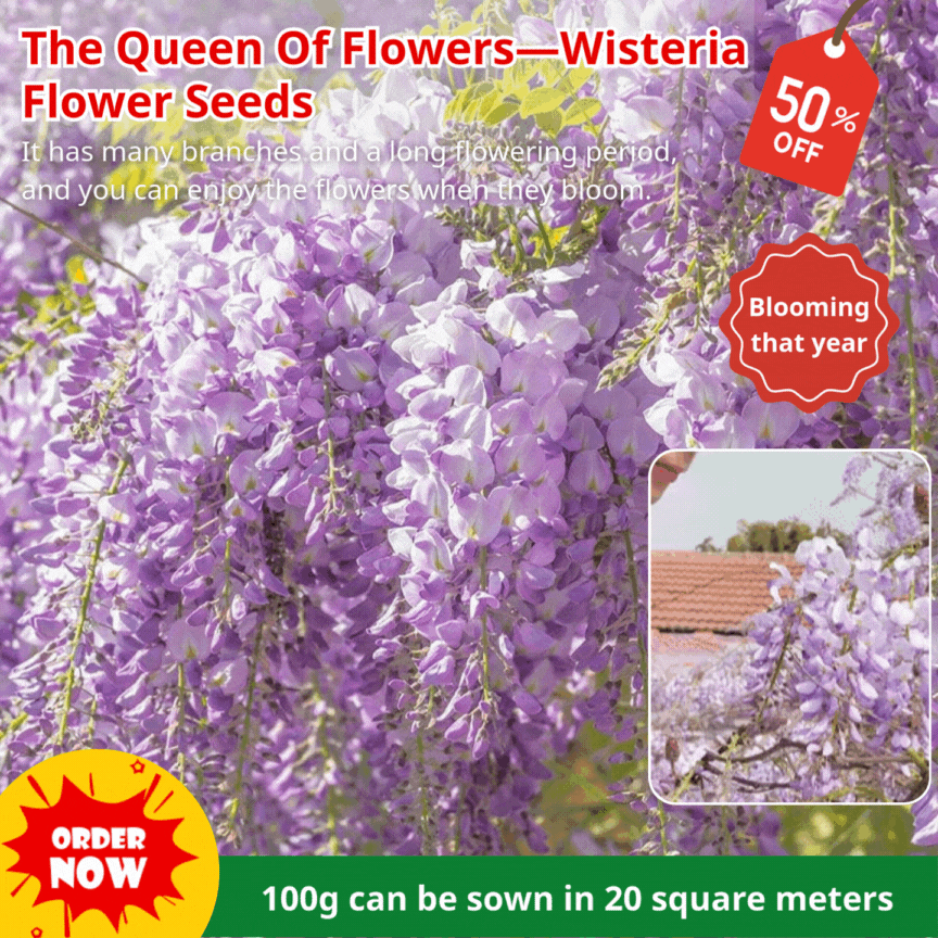 🔥LAST DAY 75% Off🌺The Queen Of Flowers—Wisteria Flower Seeds