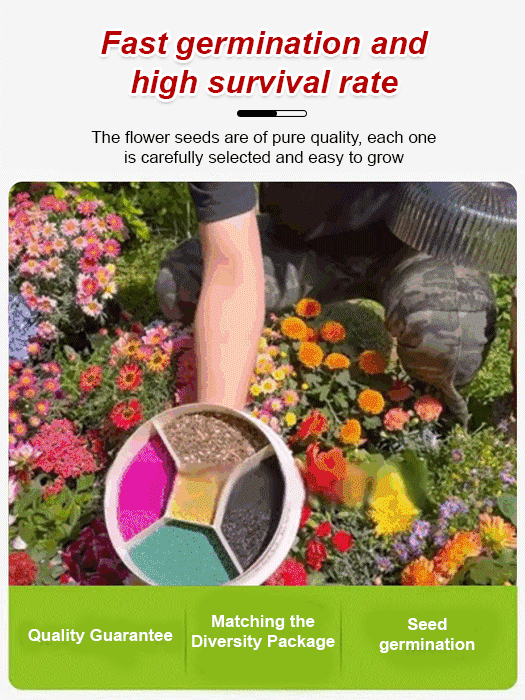 🌸🌼Plant these colorful seeds and a sea of ​​colorful flowers will bloom in April💐