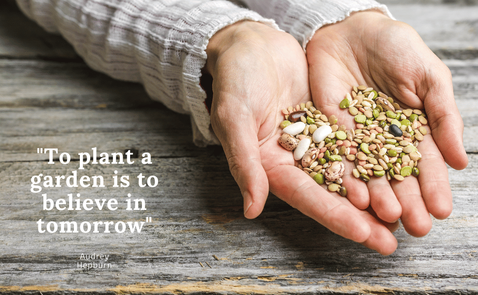 nuclear Survival gear and equipment prepping supplies zombie apocalypse vegetable seeds for planting