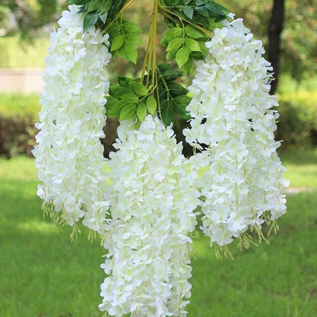 🔥LAST DAY 75% Off🌺The Queen Of Flowers—Wisteria Flower Seeds