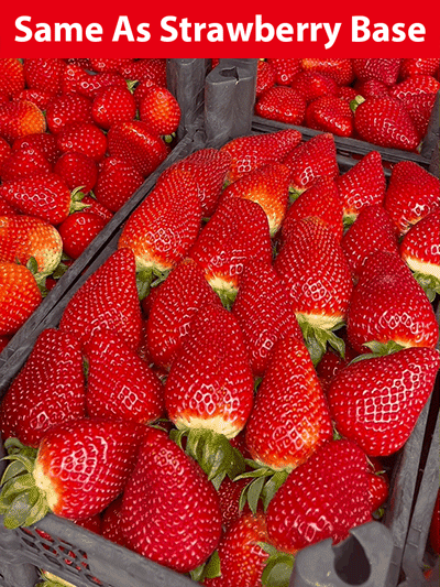 🤩Four Seasons Fruit Cream Strawberry Seeds【😋28 days to blossom and fruits🍓】