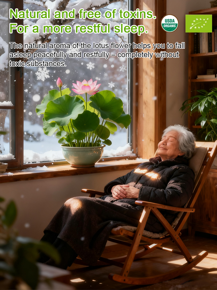 USDA Organic Certified Hydroponic Lotus Seeds | Soilless Easy Planting, 24-Hour Formaldehyde Removal💤🌸