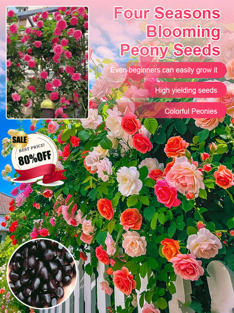 【High survival rate】👑Queen of flowers peony seeds🌸