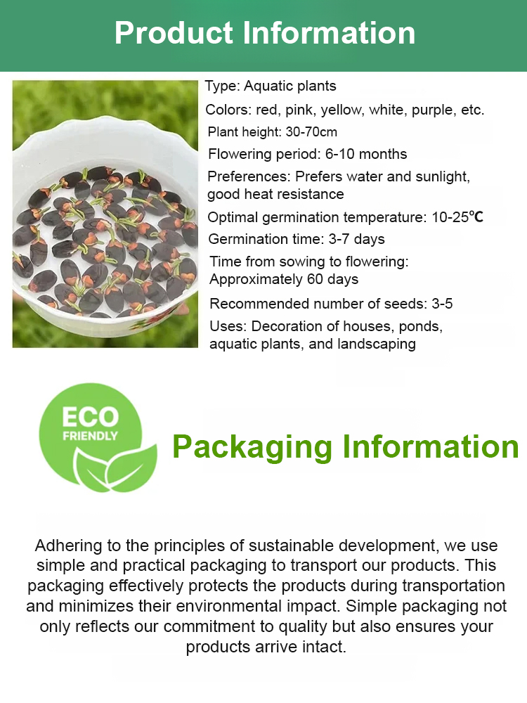 【Blooms Normally Even at -20°C】Winter Ornamental Hydroponic Lotus Seeds🪷