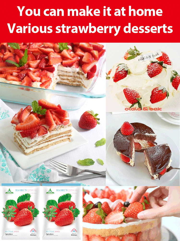 🤩Four Seasons Fruit Cream Strawberry Seeds【😋28 days to blossom and fruits🍓】
