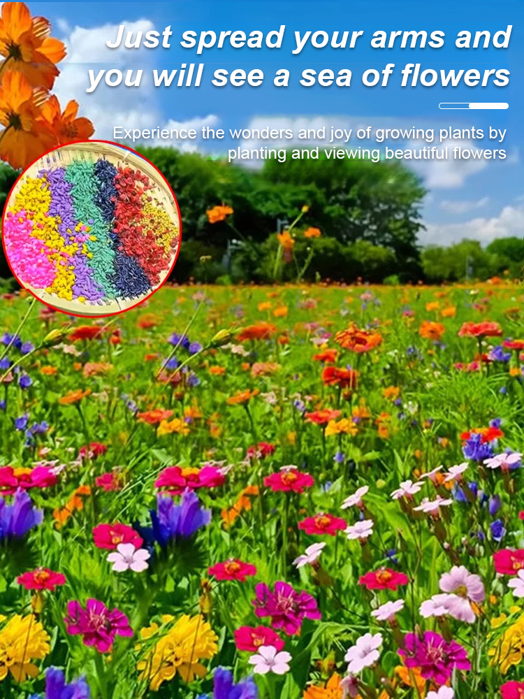 🌸🌼Plant these colorful seeds and a sea of ​​colorful flowers will bloom in April💐