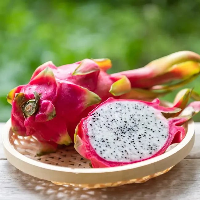 🌈 Colorful Dragon Fruit Seeds – Grow Your Own Rainbow! 🌈