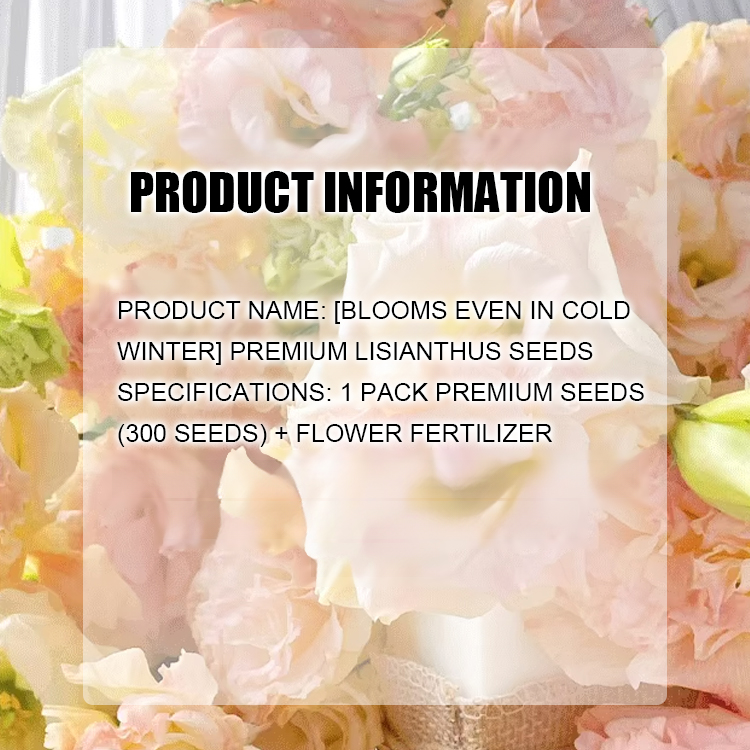 High-quality lisianthus seeds, with a strong aroma and flowering all year round💐
