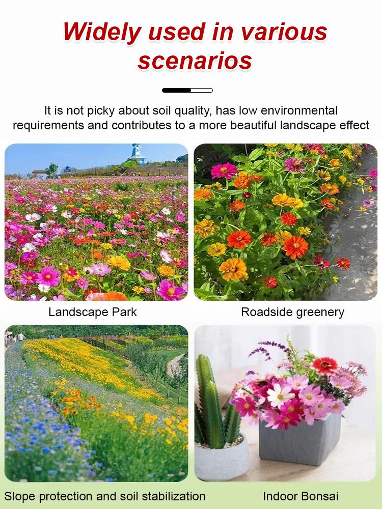 🌸🌼Plant these colorful seeds and a sea of ​​colorful flowers will bloom in April💐