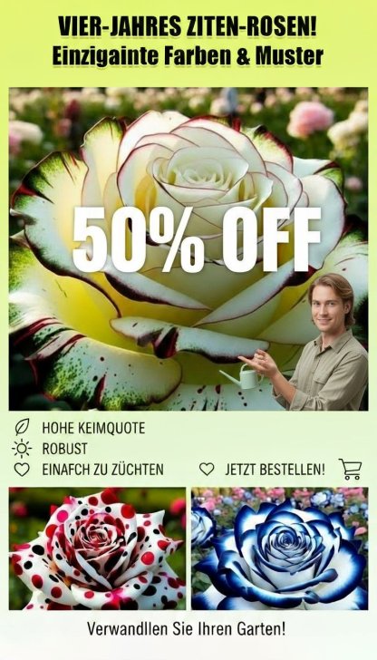 🌸💨 Keimt in 5 Tagen, blüht nächsten Monat! Diese Wunder-Rose reinigt Ihre Luft und blüht garantiert über 200 Tage. 