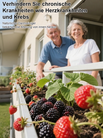 【Antioxidativer und anti-aging Schutz + kardiovaskulärer Schutz】Niedrige Strauchbeeren-Kombination