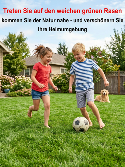 🏆 Kiepenkerl Edition: Deutsches Labor Getestet 🔬 | 100% reine Samen für den makellosen Traumrasen! 🌿