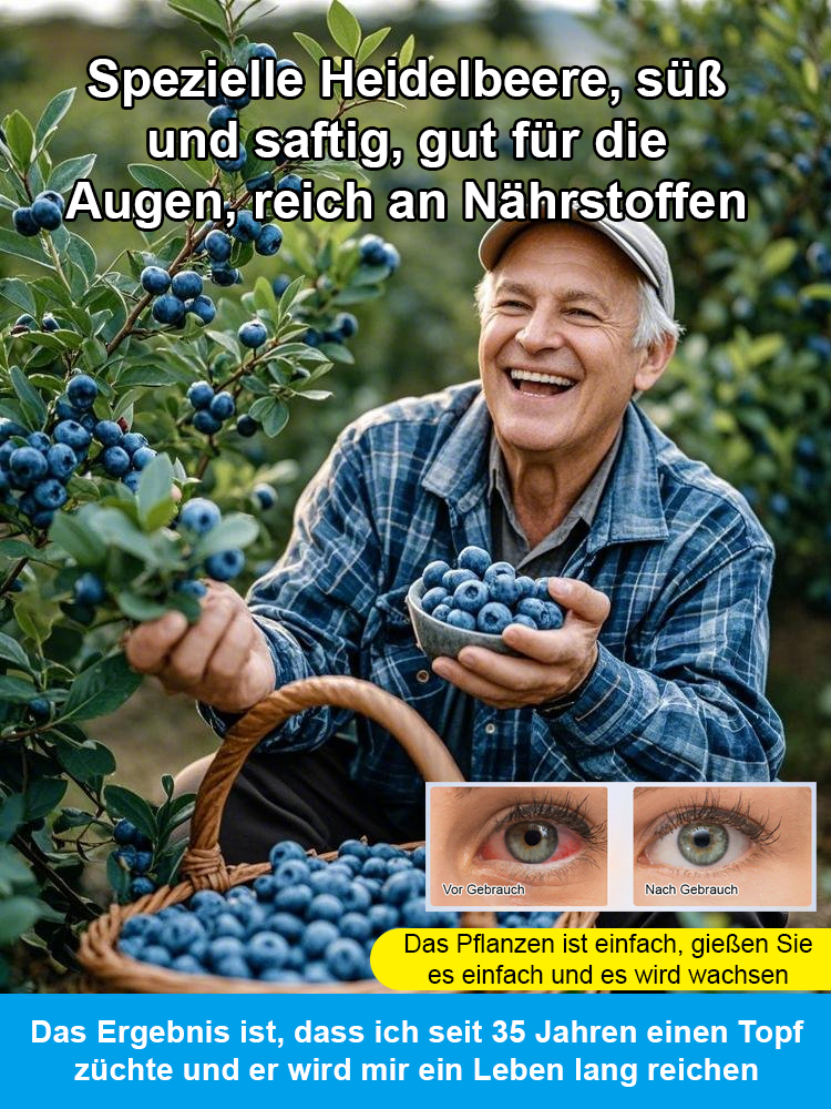 [Je mehr Sie essen, desto gesünder sind Sie] Peruanische Blaubeersamen der Premiumklasse A