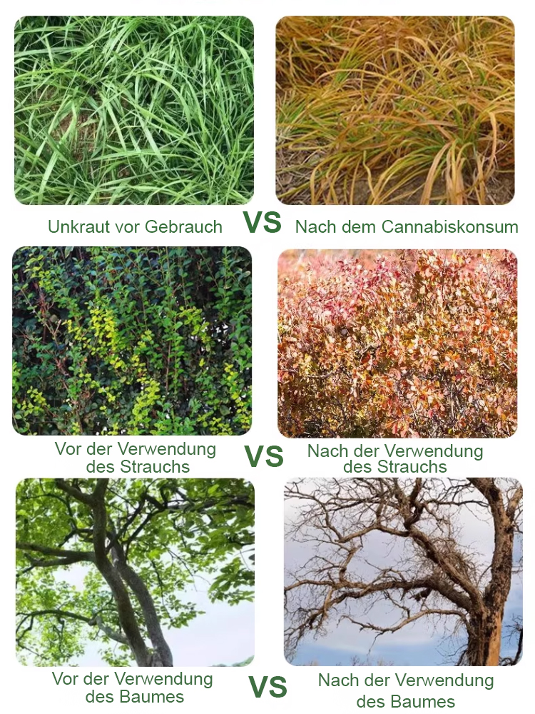 TÜV-Sicherheits- und Umweltzertifizierung, 58 internationale Patente erhalten, Unkrautbekämpfungsrate bis zu 98 %, zeitlich begrenzt 50 % Rabatt