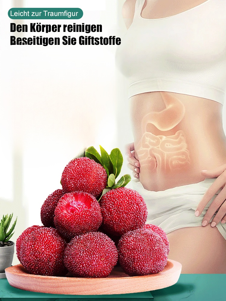 Dongkui-Lorbeere kann in Hausgärten oder Topfpflanzen angebaut werden