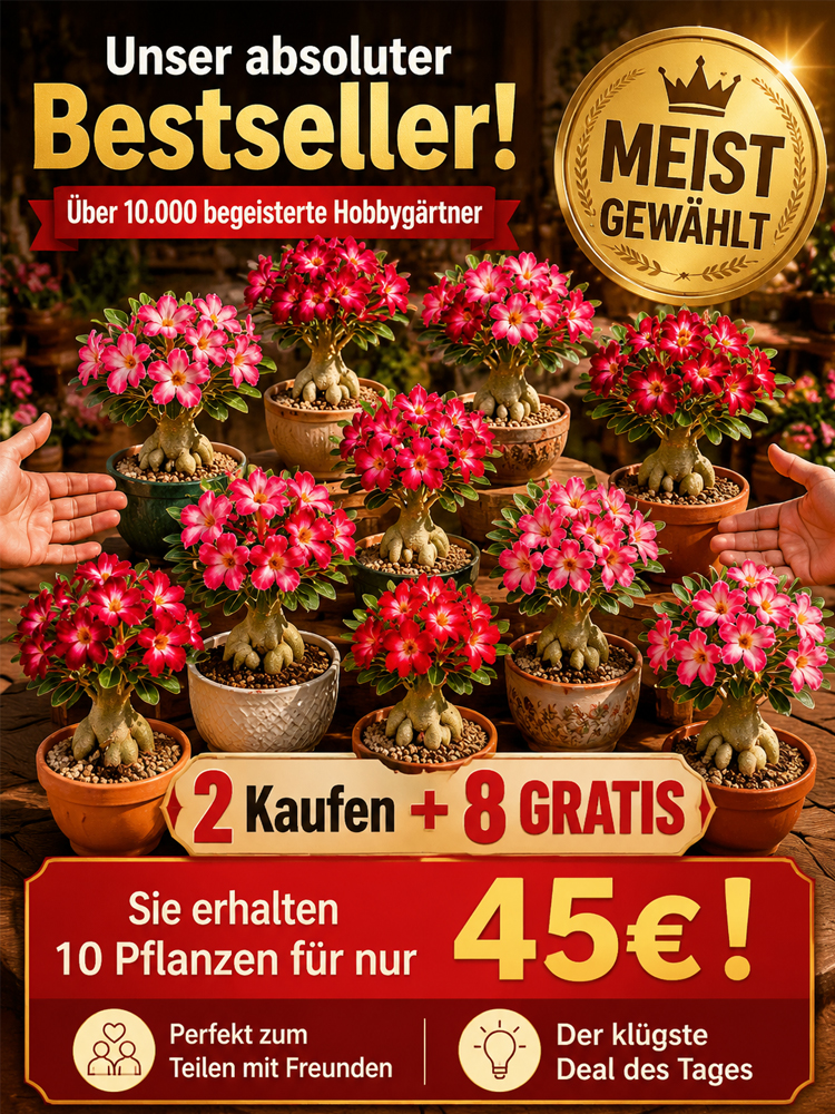 🌺 | -20°C bis 40°C Extrem Robust | 300 Tage Dauerblüher | 100 Jahre Lebensdauer | Mit 100% Anwachsgarantie