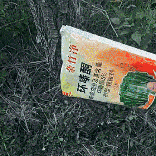 【Große Bäume töten】Cyclozinon-Herbizid 🔥Starke Arzneimittelwirkung