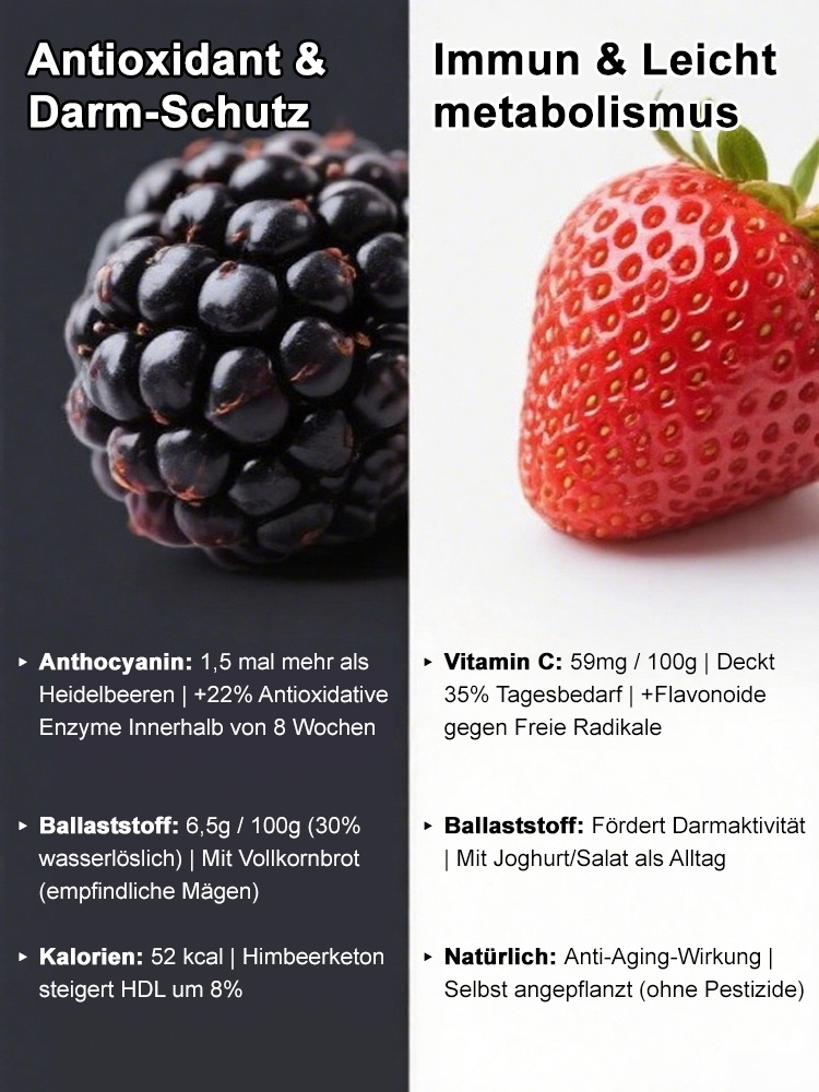 【Antioxidativer und anti-aging Schutz + kardiovaskulärer Schutz】Niedrige Strauchbeeren-Kombination