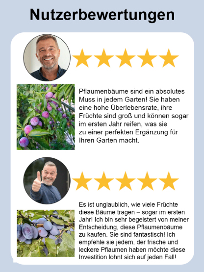 【Krankheits- und Insektenresistenz】Hochwertige Zwergpflaumenbäume