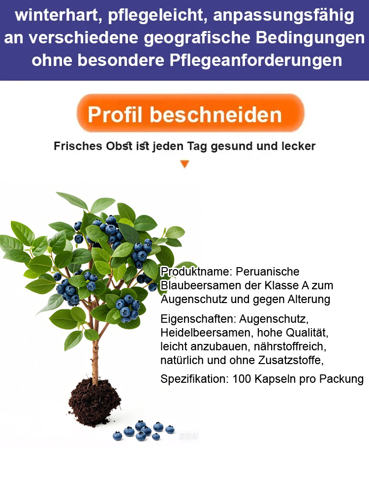 [Je mehr Sie essen, desto gesünder sind Sie] Peruanische Blaubeersamen der Premiumklasse A