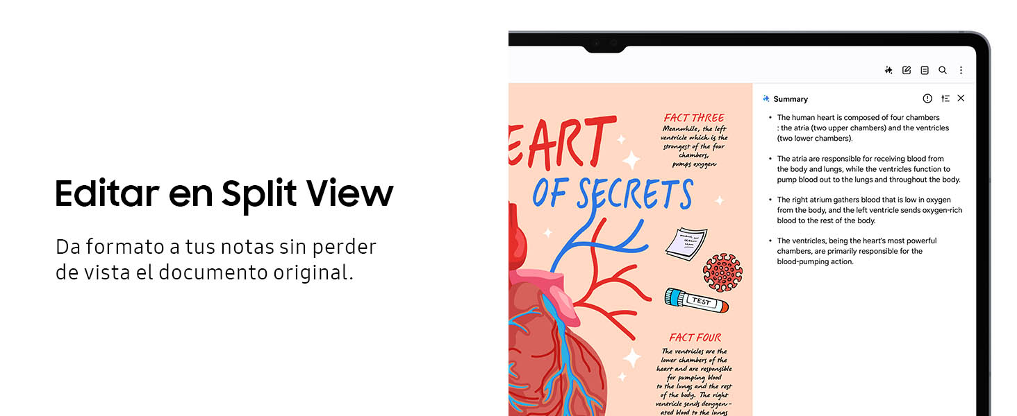 Editar en Split View