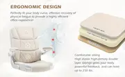 ergonomic                 armrests               or   details 3
