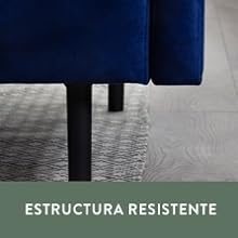 enstructura resistente
