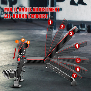 Banco de pesas ajustable