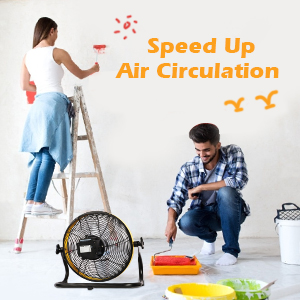 Air Circulation