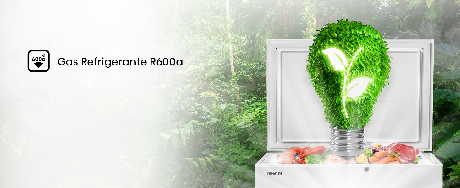 Gas refrigerante R600a