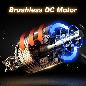 Brushless DC Motor