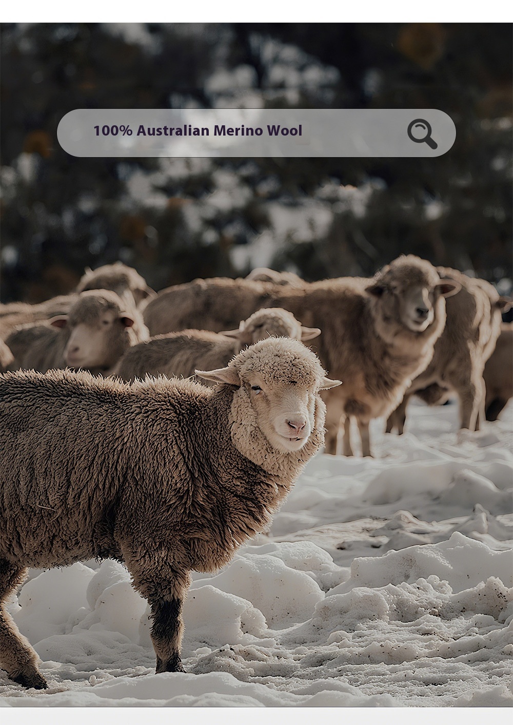 "Men's wool sweater with a 3D pumpkin knit pattern."