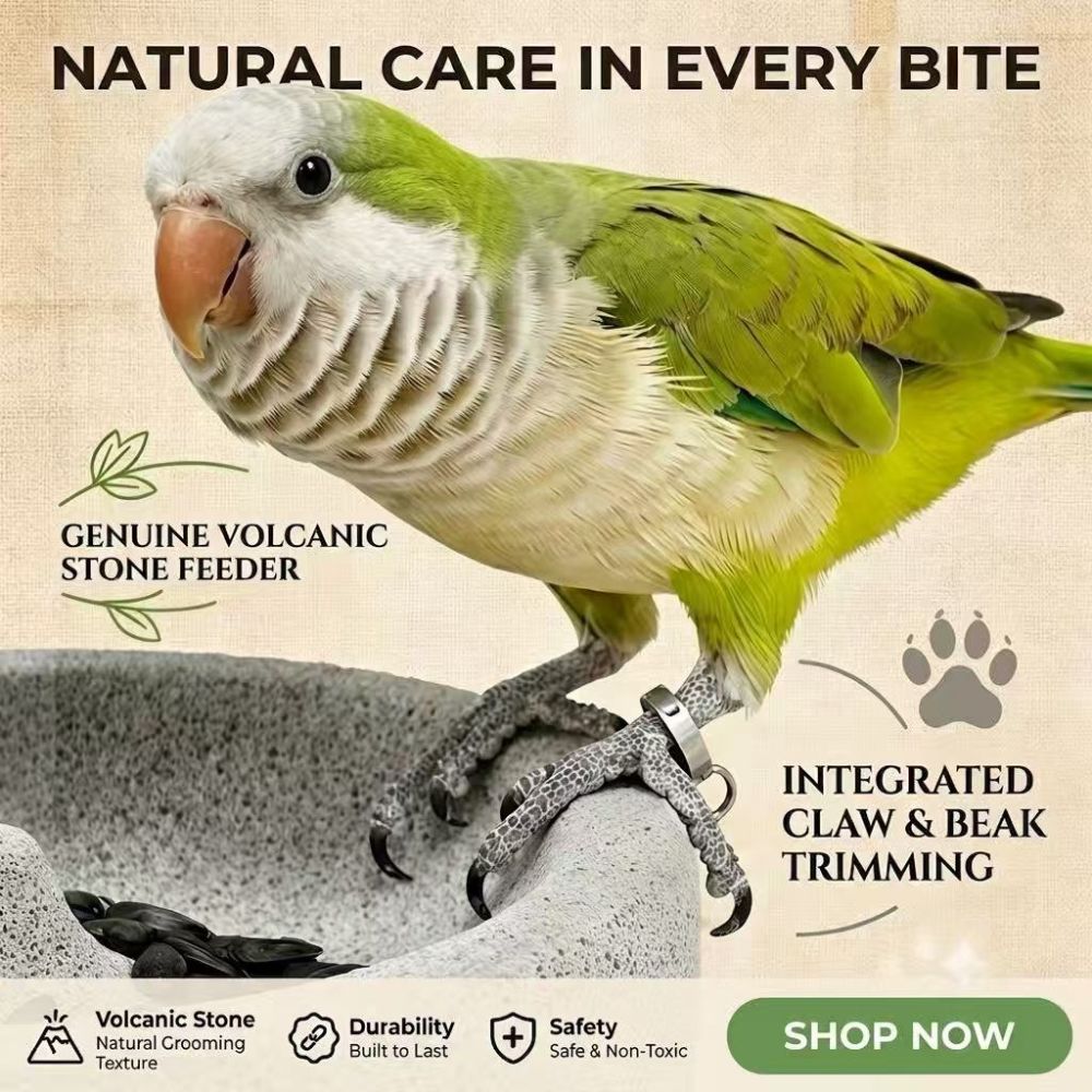 Natural Lava Stone Bird Feeder Bowl – 2-in-1 Beak & Claw Trimming Food Dish