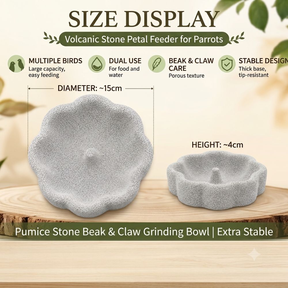 Natural Lava Stone Bird Feeder Bowl – 2-in-1 Beak & Claw Trimming Food Dish