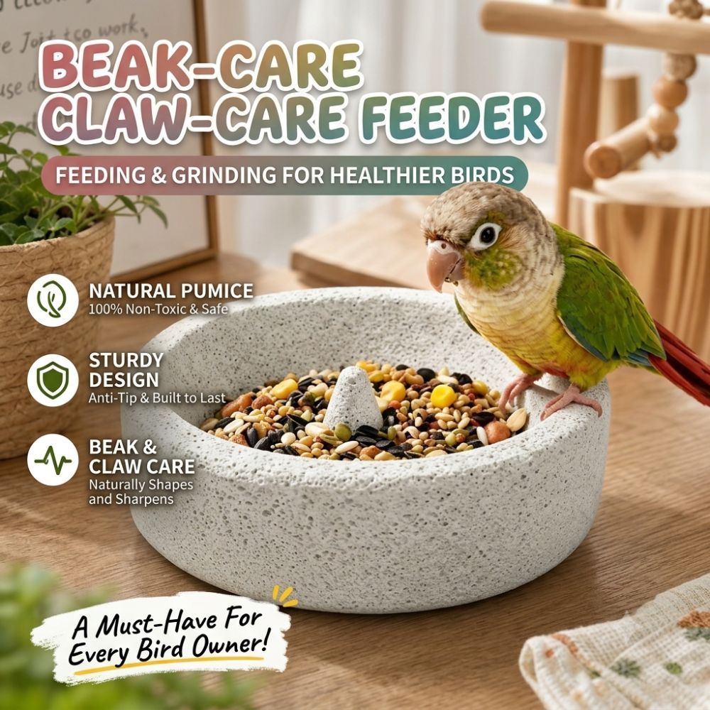 Natural Lava Stone Bird Feeder Bowl – 2-in-1 Beak & Claw Trimming Food Dish