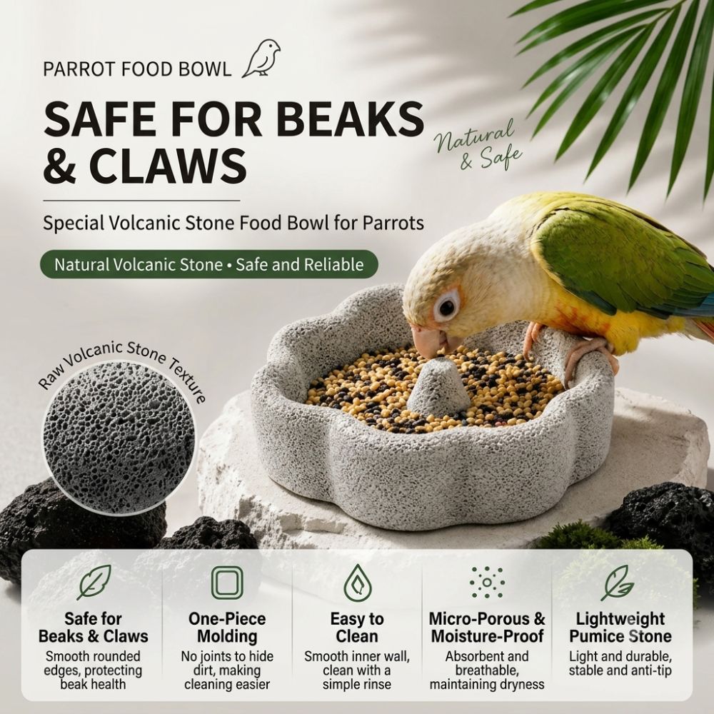 Natural Lava Stone Bird Feeder Bowl – 2-in-1 Beak & Claw Trimming Food Dish